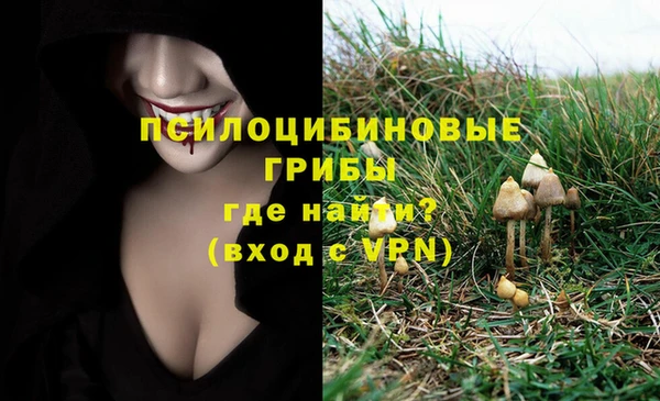 бошки Лихославль