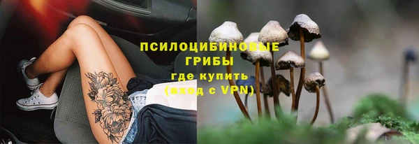 сатива Лиски