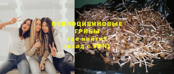 бошки Лихославль