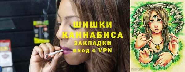 PSILOCYBIN Сковородино