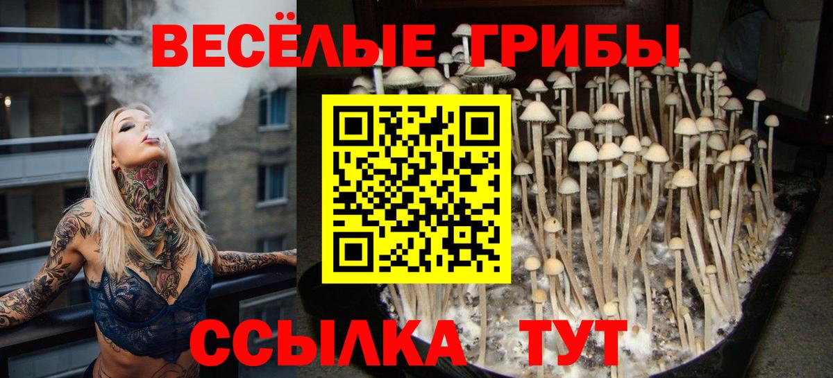 Галлюциногенные грибы Magic Shrooms  Янаул 